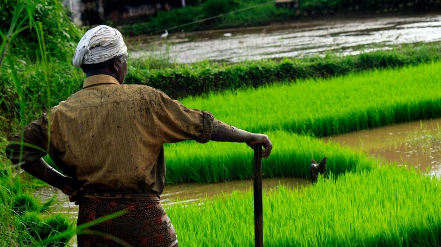 Kingsley Voice | India’s farmers demonstrate for their rights