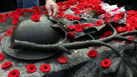 Remembrance day: honouring all veterans