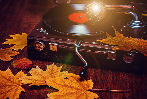 5 songs to add to your never-ending autumn playlist